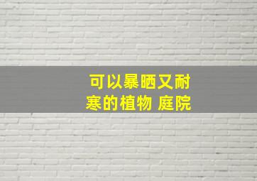 可以暴晒又耐寒的植物 庭院